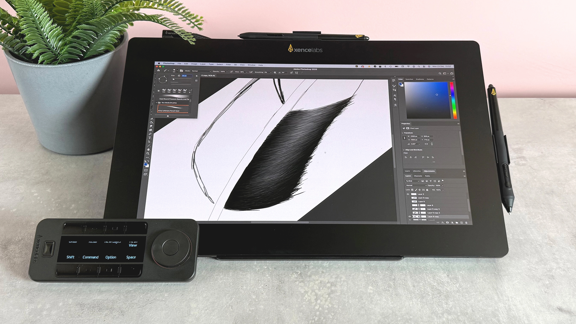 The Xencelabs Pen Display 16 in front of a pot plant featuring a half-finished sketch of a magpie's feather.