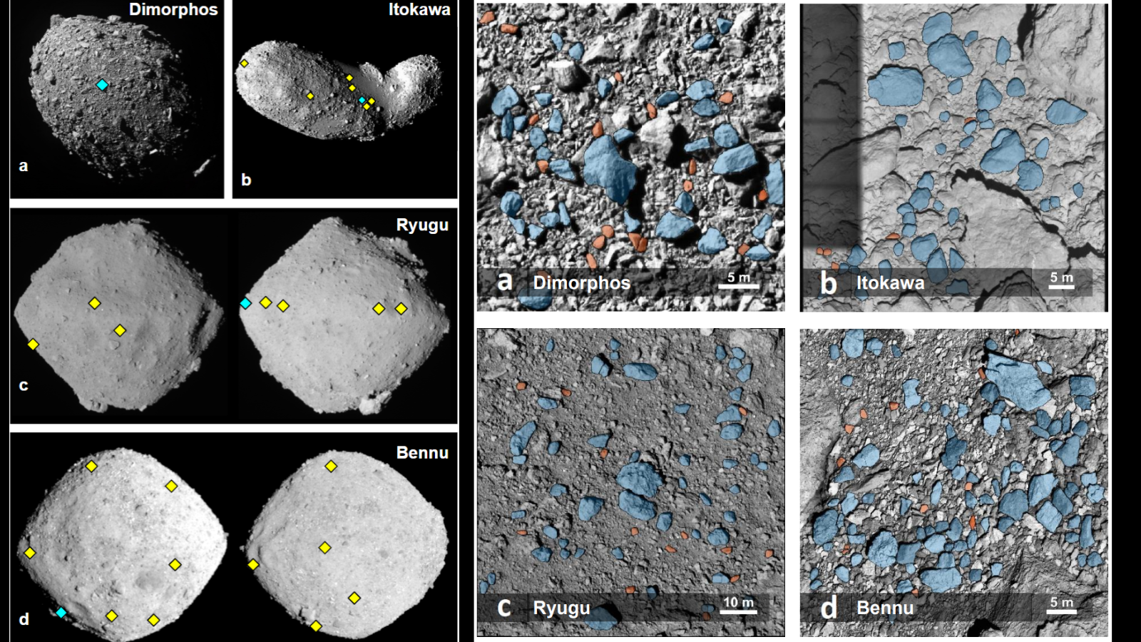 Vergleich der Gesteine ​​von Dimorphos, Itokawa, Ryugu und Bennu