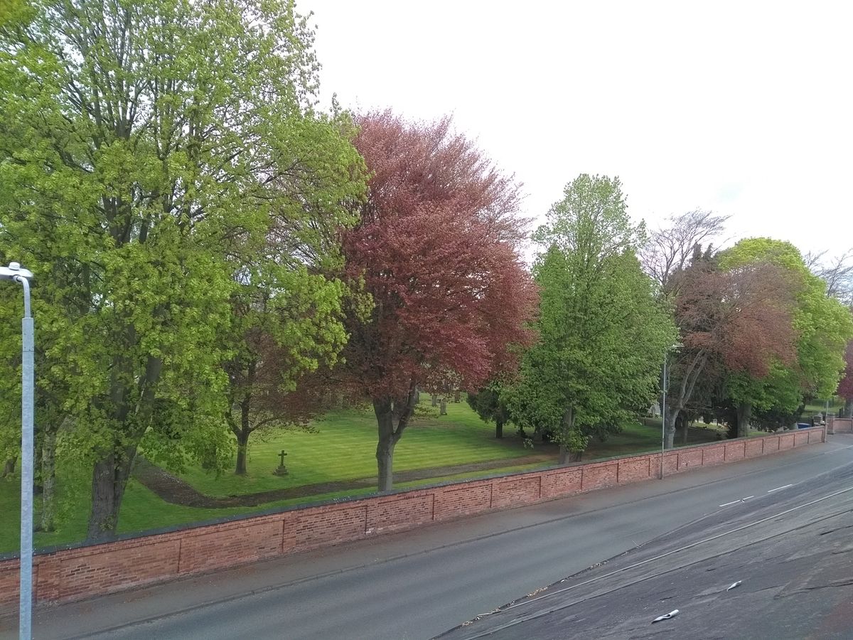Here, the Swift 2 has done a good job of replicating the colours of the leaves on the trees but has totally overexposed the sky.