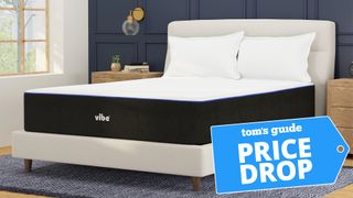 The Vibe Luxury Plush Super Cooling Gel Memory Foam Mattress on a bed frame in a bedroom, a Tom's Guide Price Drop deals graphic in the bottom right corner