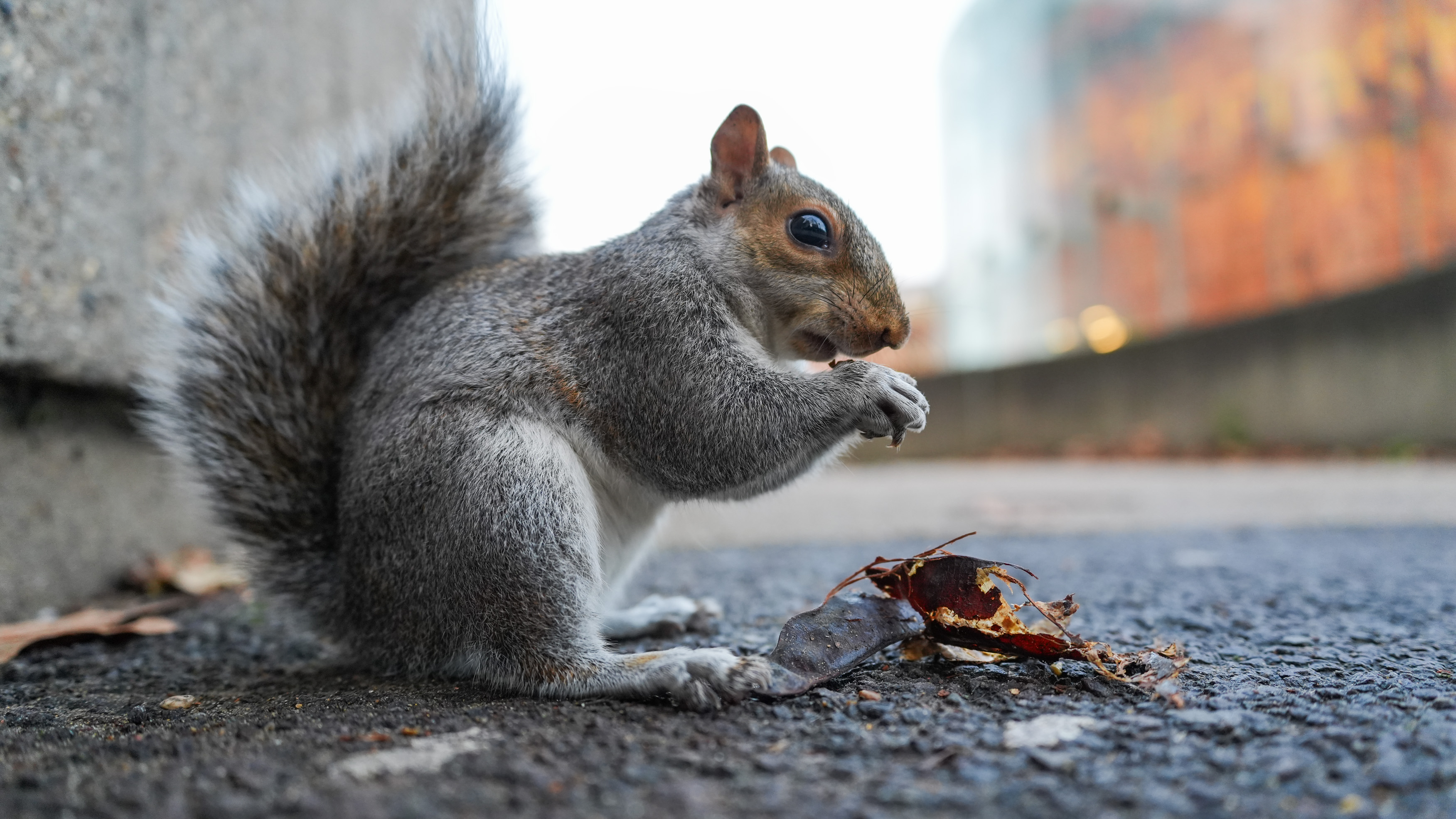 Image captured with the Sony A7 V Mirrorless camera in London