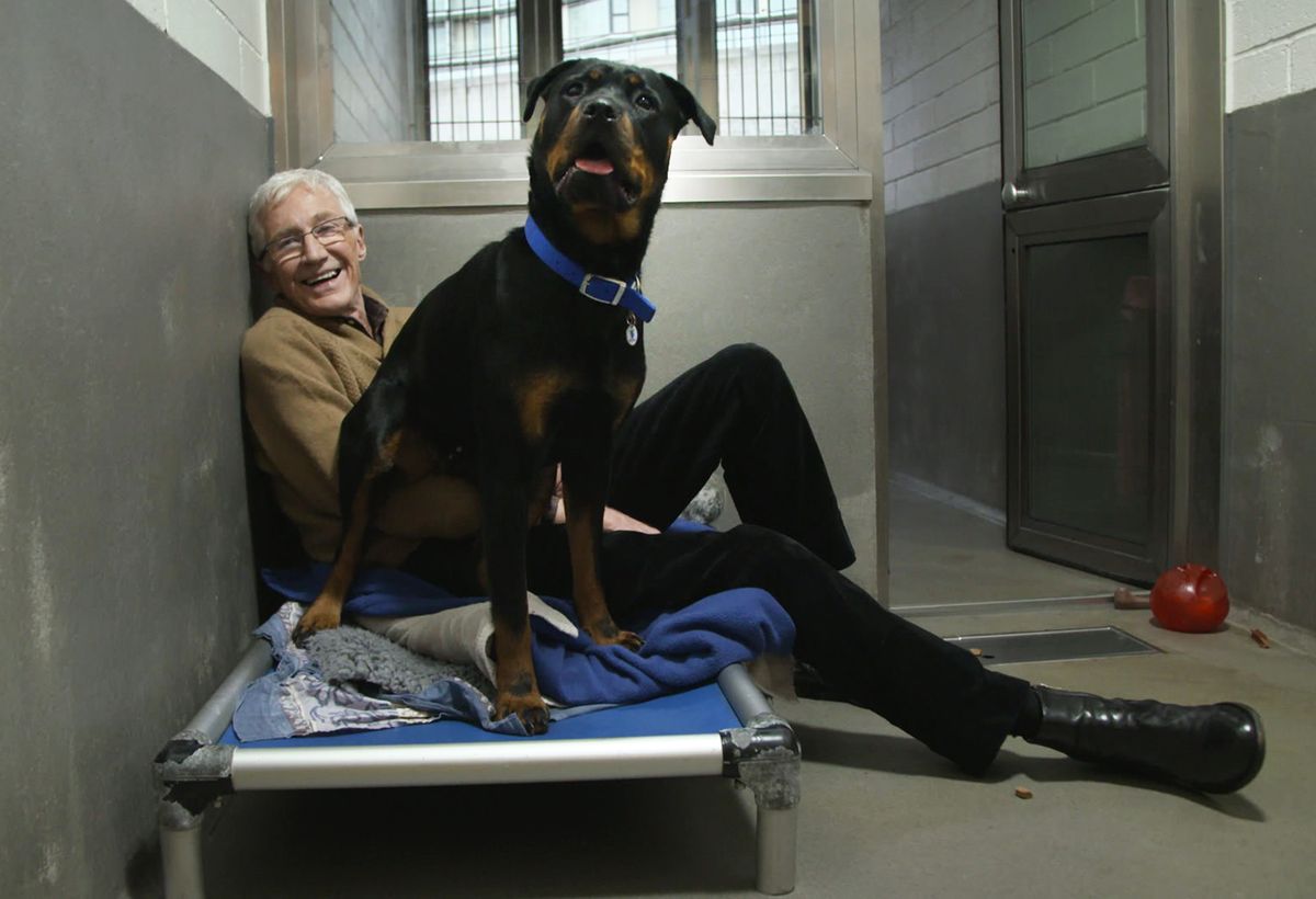 TV tonight Paul O&#039;Grady: For the Love of Dogs