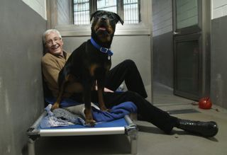 TV tonight Paul O'Grady: For the Love of Dogs