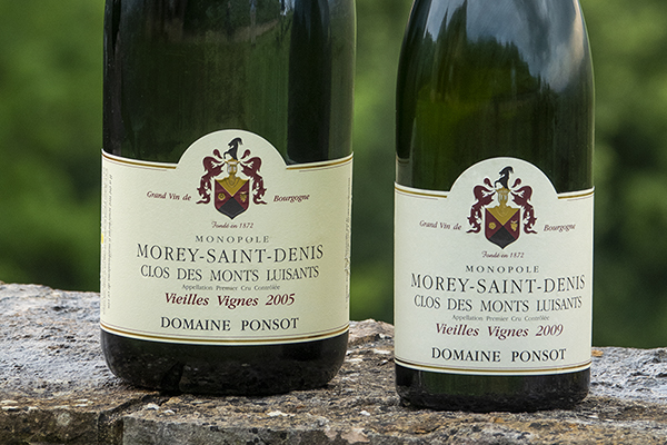 Domaine-Ponsot-2022-5.jpg