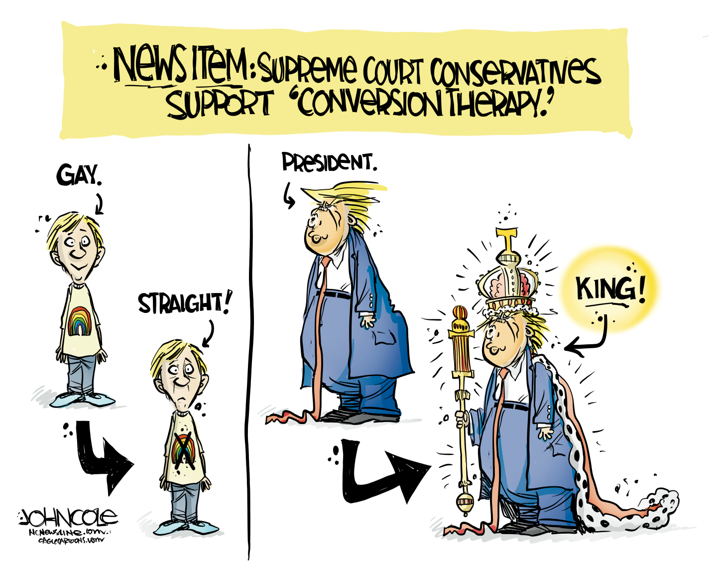 Political Cartoon