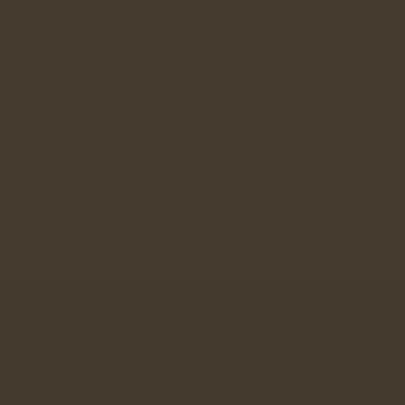 dark brown paint swatch