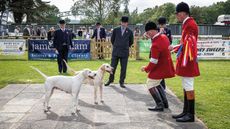 HAH311.ht_southofengland.ht_soe_hounds_friday_comm_arw_photography_deadly_and_stormcloud_mainsoe_friday_foxhounds_11_6_2021_167.jpg