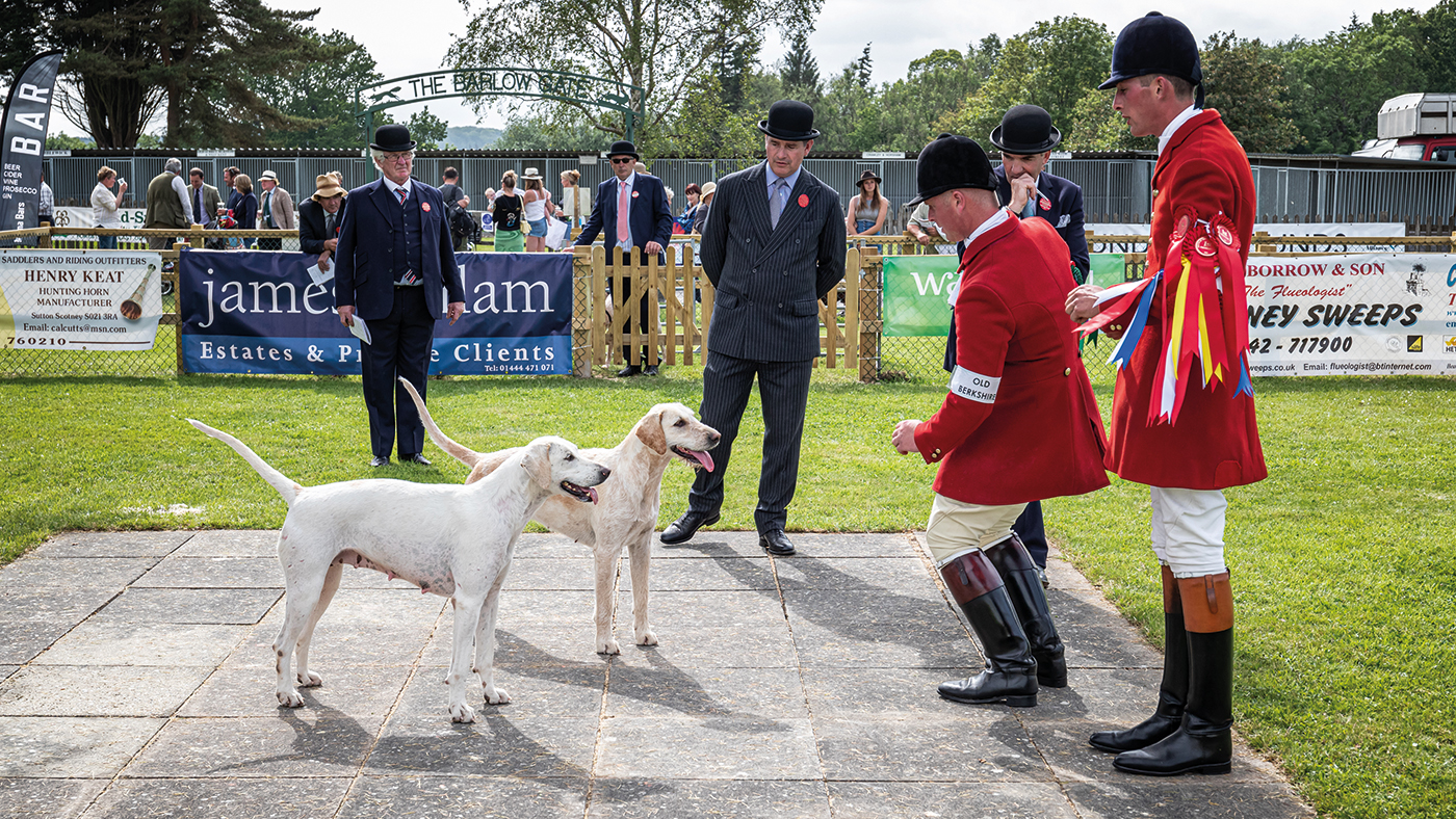 HAH311.ht_southofengland.ht_soe_hounds_friday_comm_arw_photography_deadly_and_stormcloud_mainsoe_friday_foxhounds_11_6_2021_167.jpg