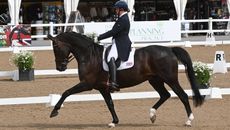 Hartpury CDI Sarah Higgins Alfranco