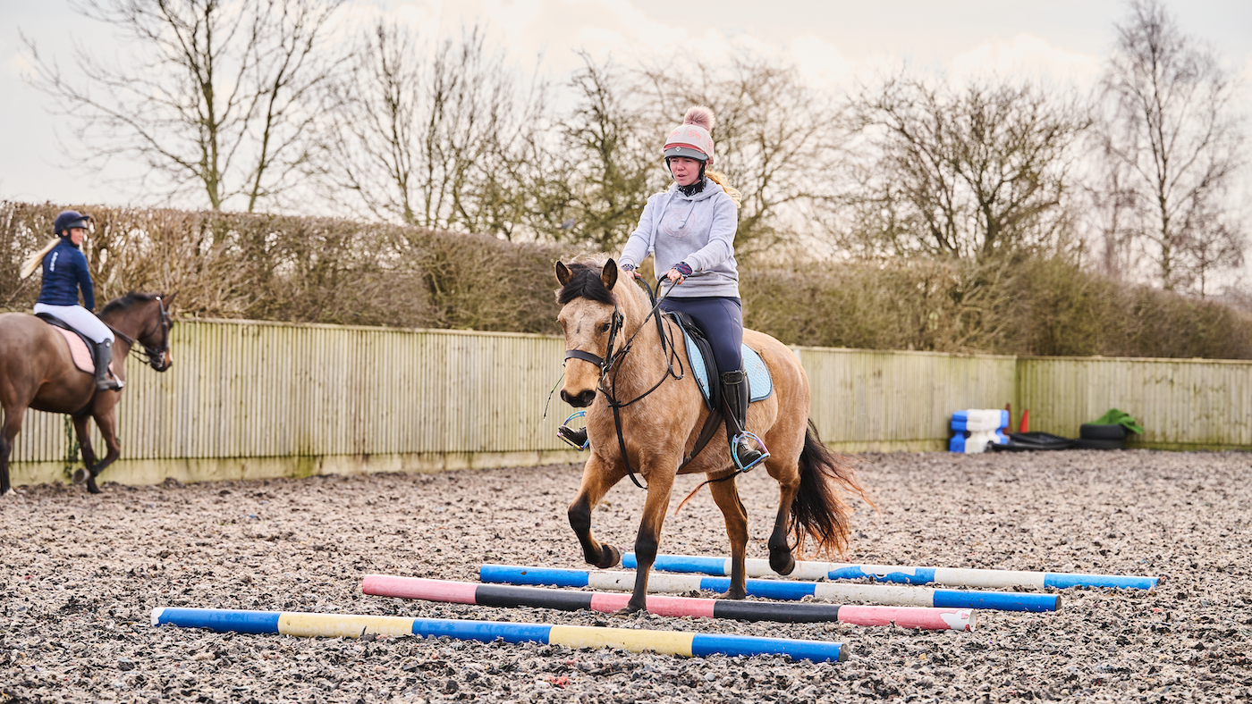 Dun horse doing polework in arena: getting show horse fit