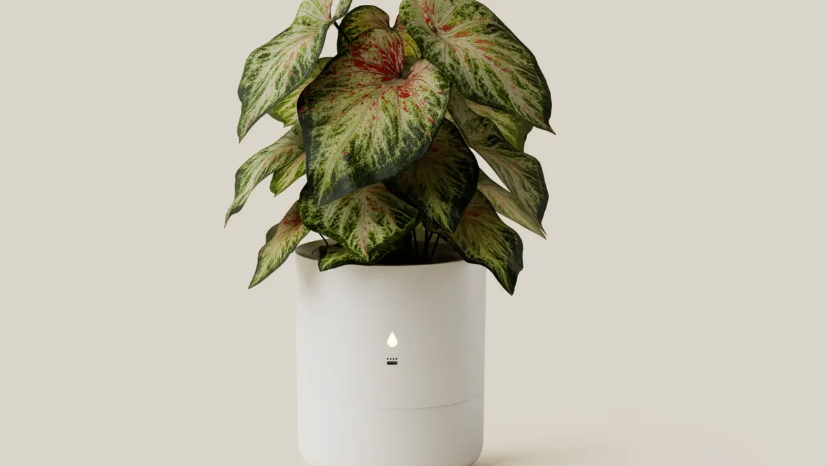 CES 2025: The Leafypod is a self-watering plant pot | Wallpaper