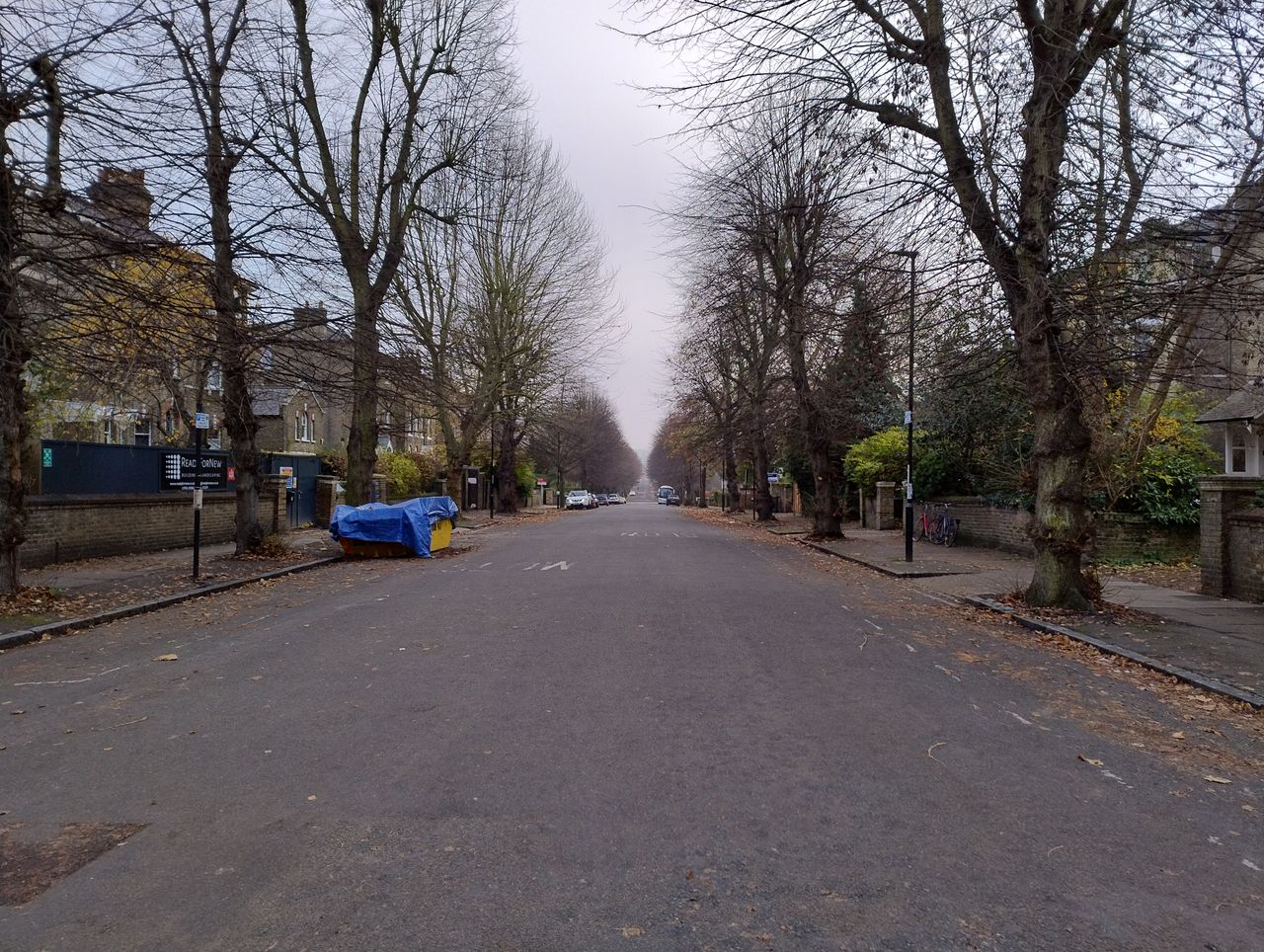 A street shot on the Moto G84