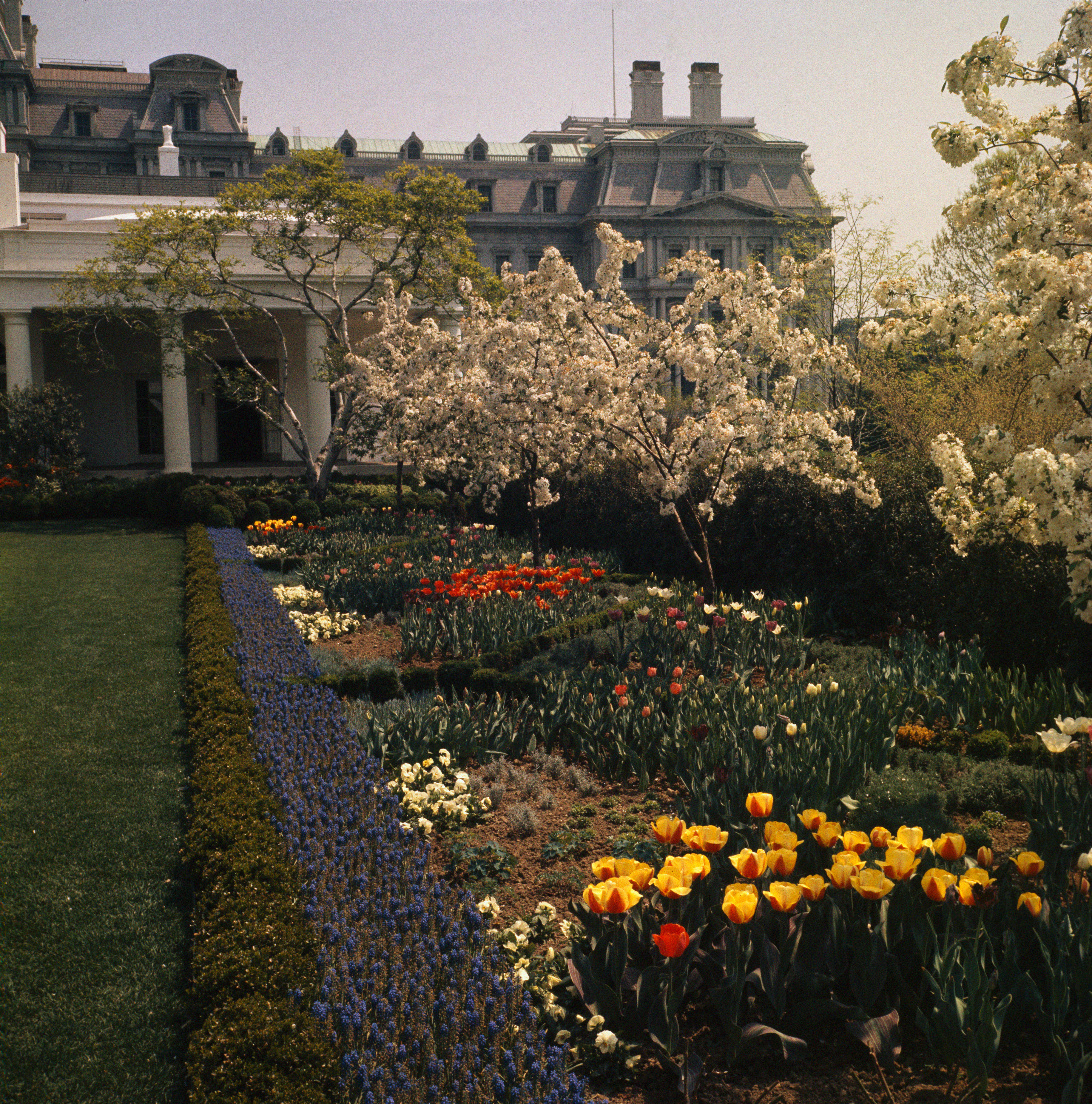 White House Rose Garden