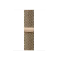 Milanese Loop