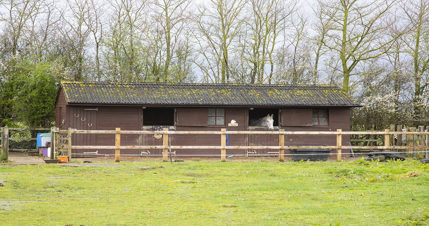 51_Malmesbury_rd_011