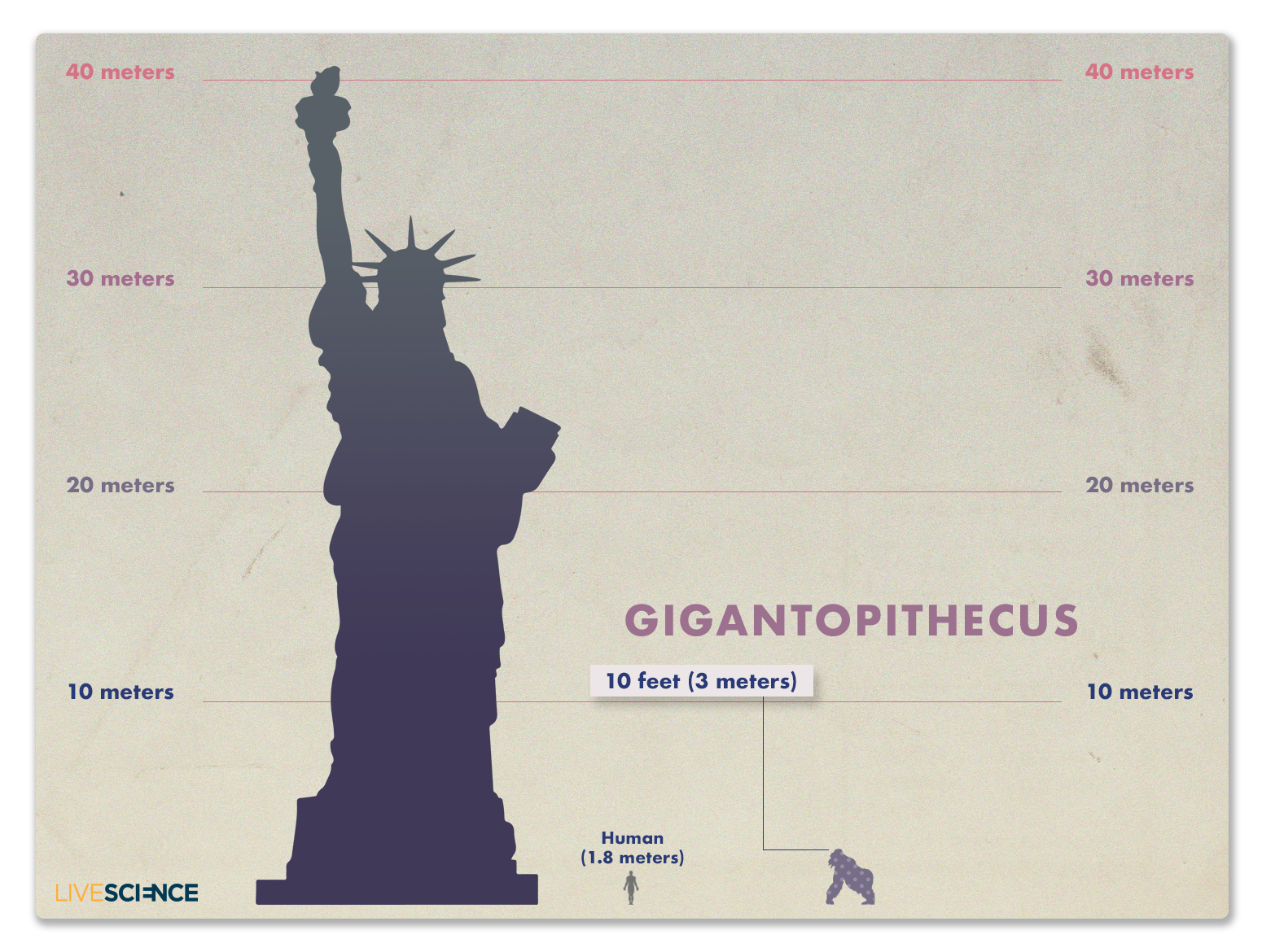 Kind Of A Big Deal How King Kong Measures Up Images Live Science