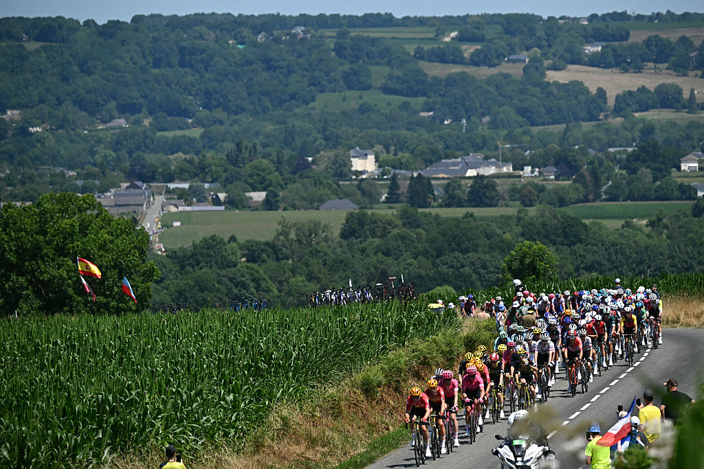 The pack of riders (peloton) cycles during the 12th stage of the 112th edition of the Tour de France cycling race, 180.6 km between Auch and Hautacam, in the Pyrenees mountains of southwestern France, on July 17, 2025. (Photo by Loic VENANCE / AFP)