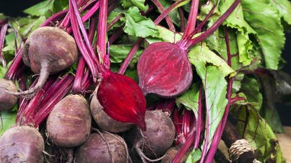Whole and chopped harvested beets