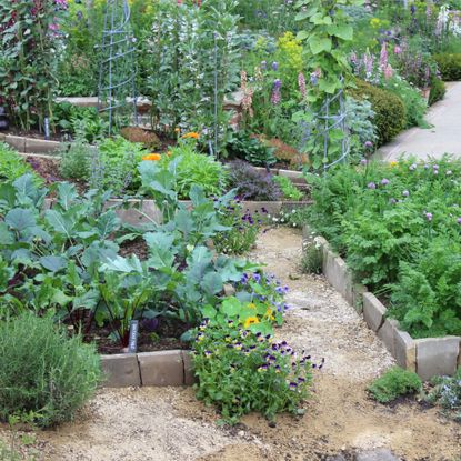 One of the vegetable plots at RHS Chelsea 2023 