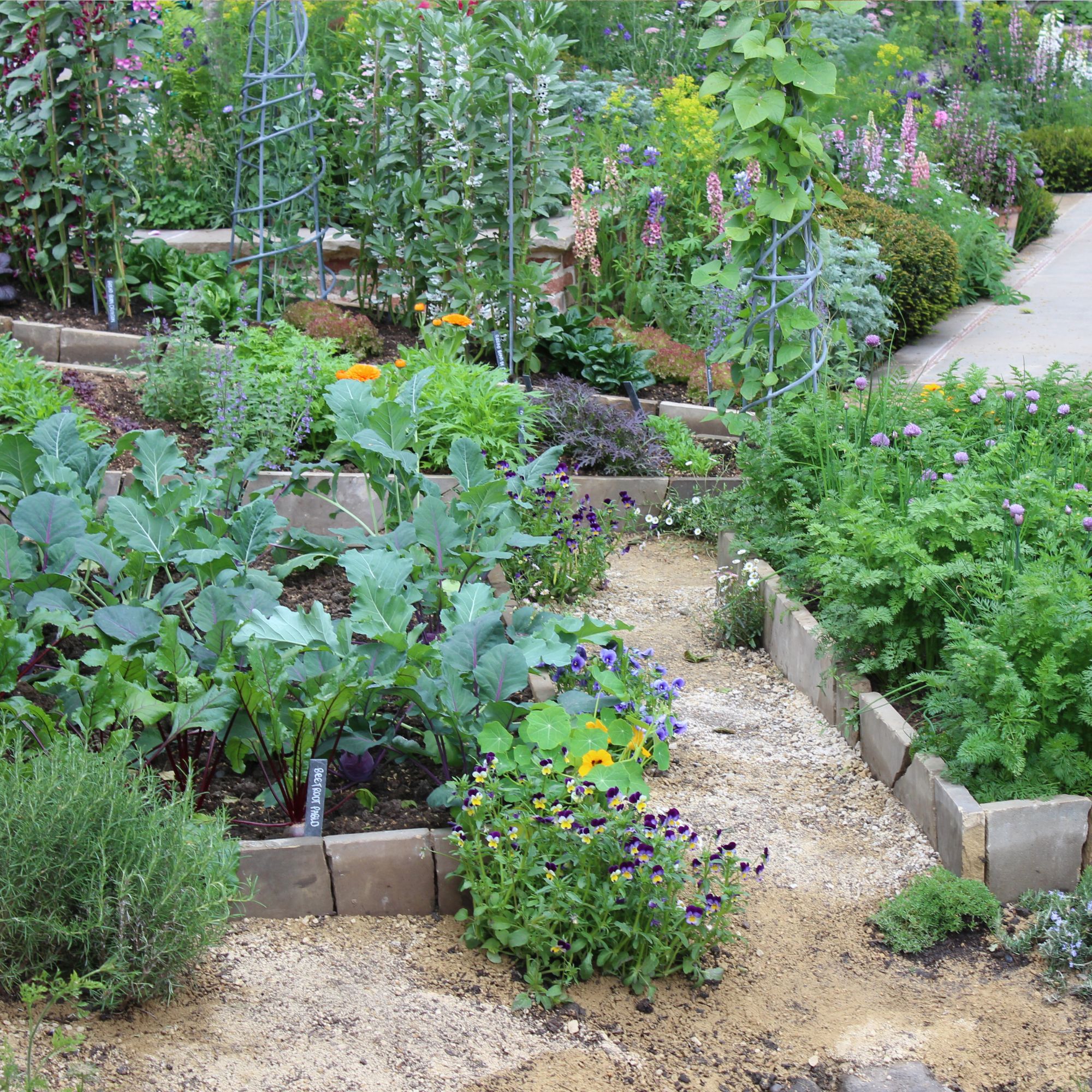 One of the vegetable plots at RHS Chelsea 2023