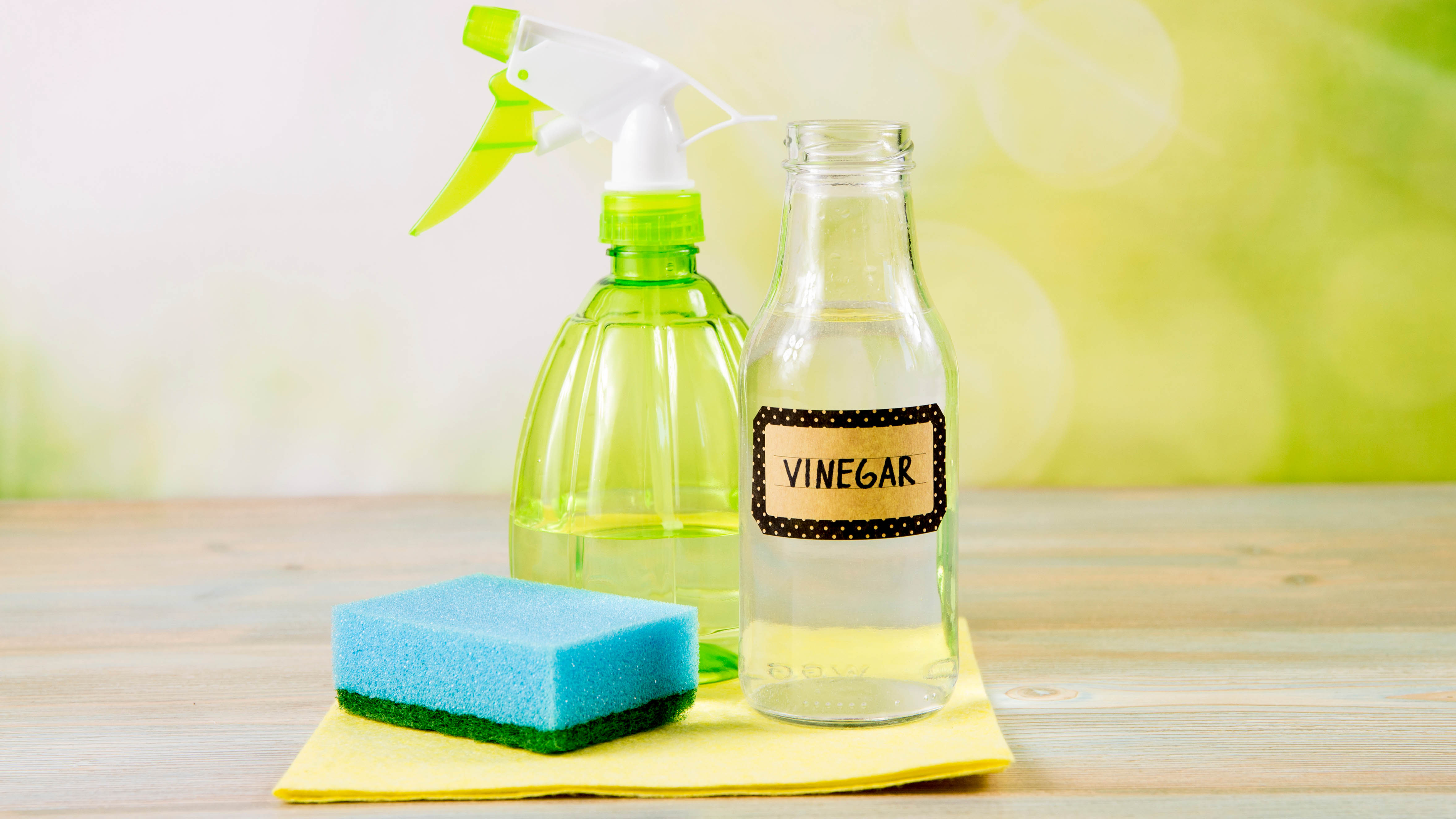 White vinegar and a spray bottle