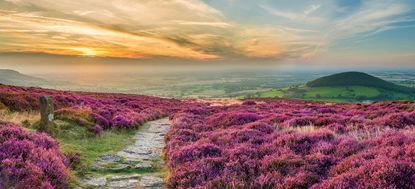 Cleveland Way National Trail, near Whorl Hill