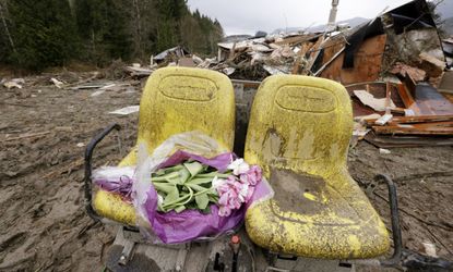 Flowers near demolished home 