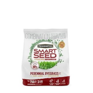 Pennington Smart Seed Perennial Ryegrass Grass Seed, for Full Sun, 3 Lb.