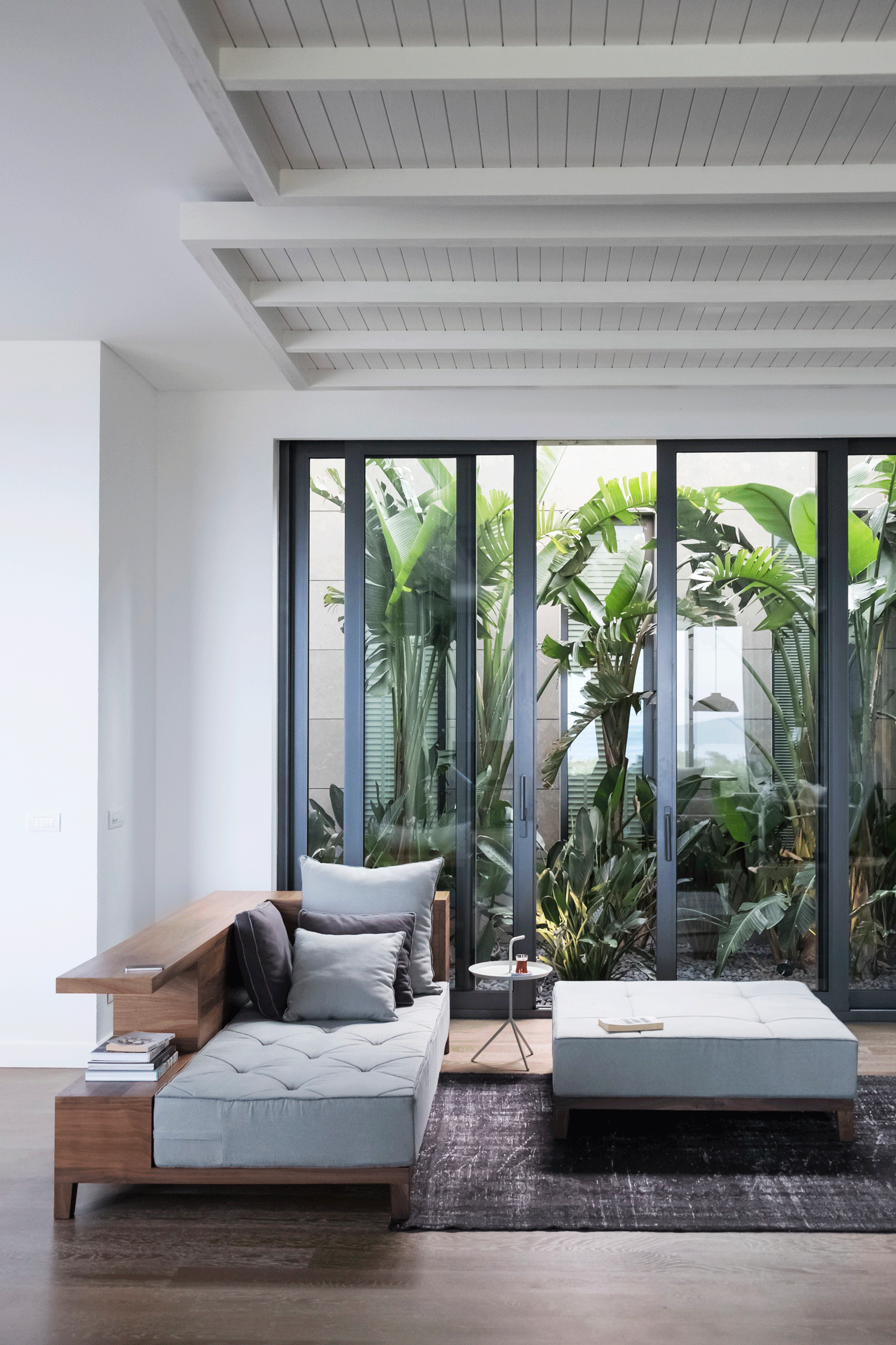 internal courtyard with lush palms