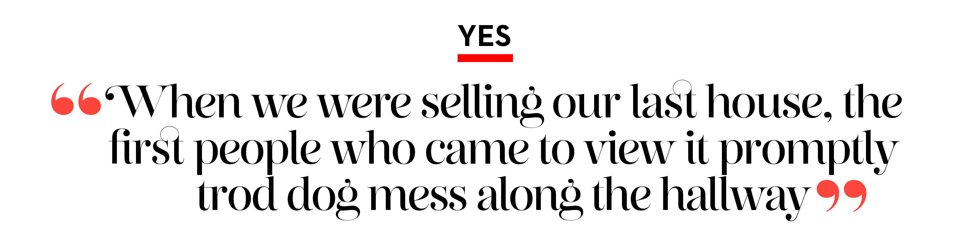 Animated pull quote saying yes to taking shoes off