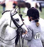 BBC95D1E-D372-429A-BAA3-517F2540A631.jpg