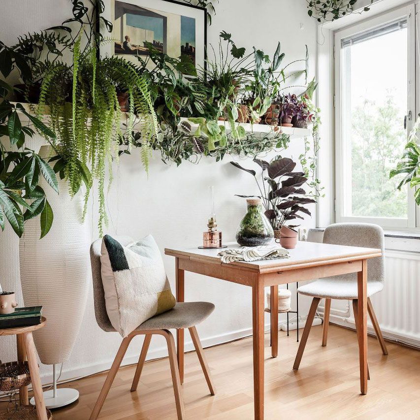 Meja makan kayu dengan kursi dan bantal di sudut apartemen berlangit-langit tinggi dengan banyak tanaman hias