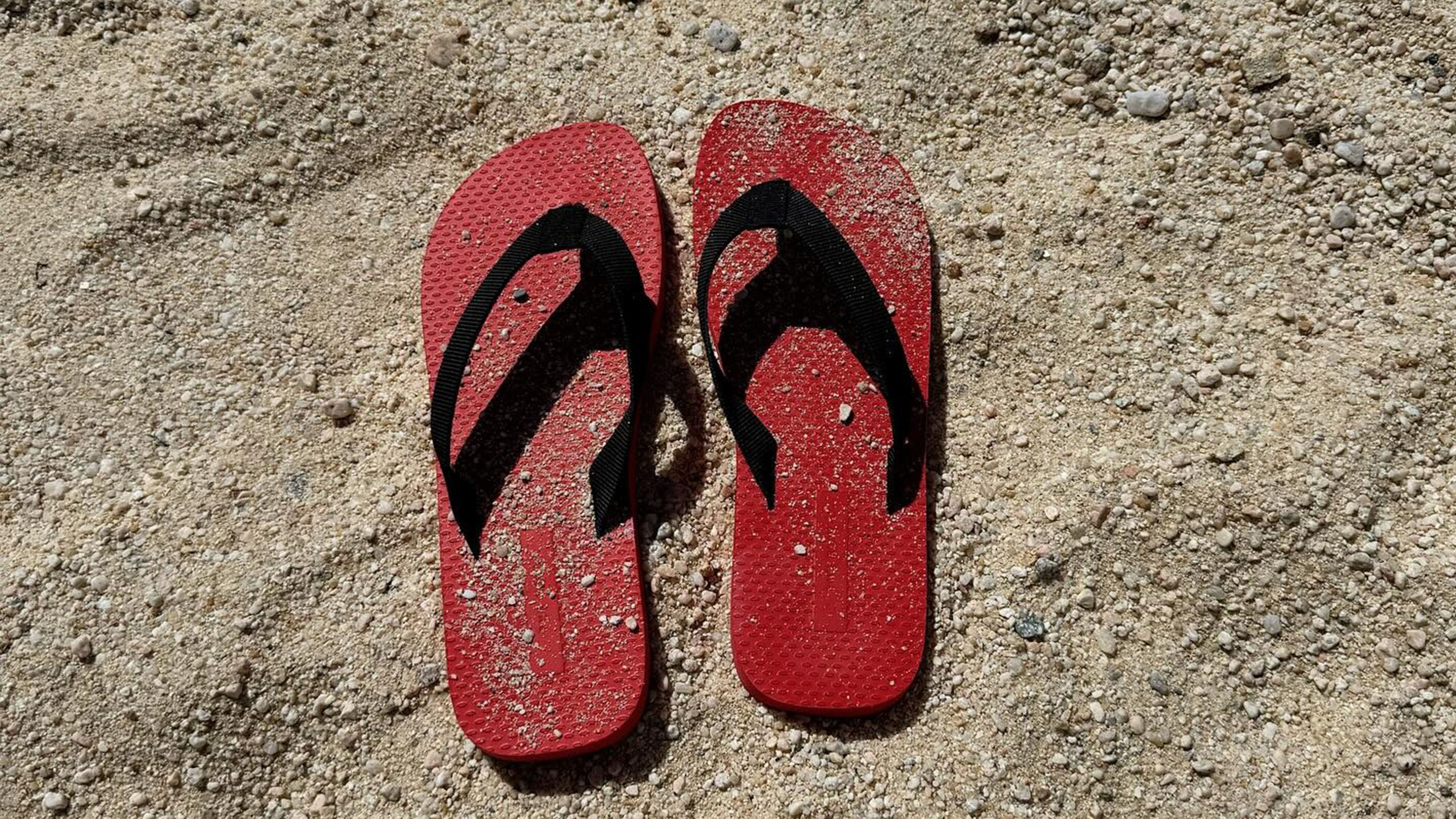 The Row shoes