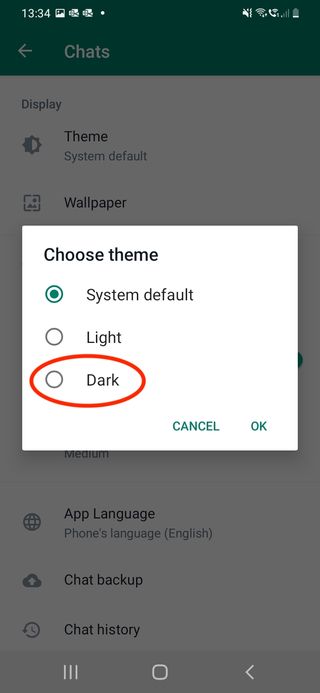screenshot of dark or light theme choice in WhatsApp