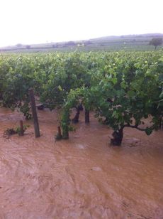 Burgundy floods July 2013