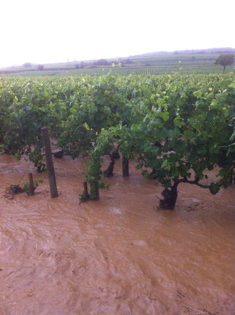 Burgundy floods July 2013