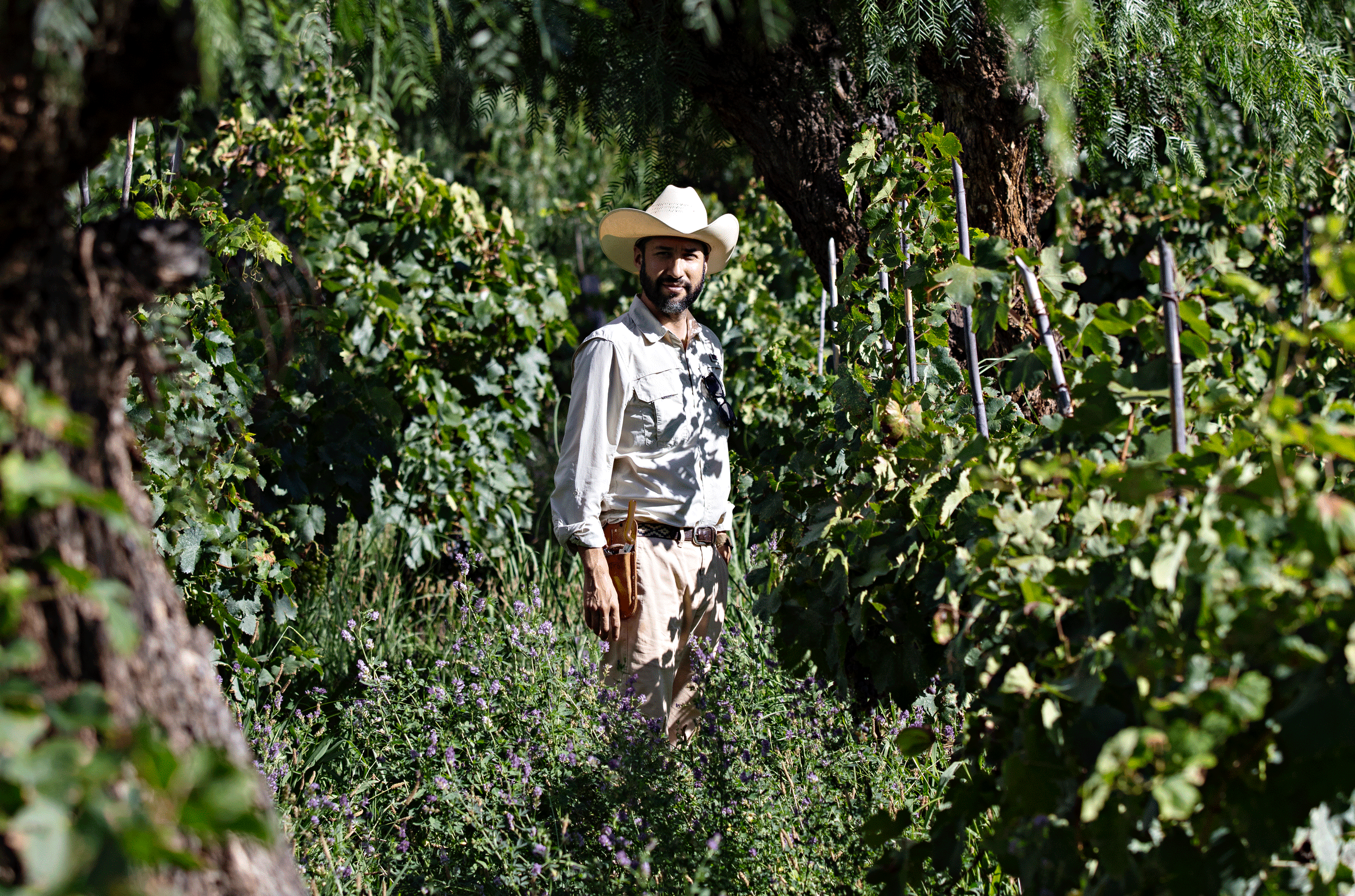 Helio McNaught, of winery Jard&iacute;n Oculto, amidst vines in the Cinti Valley