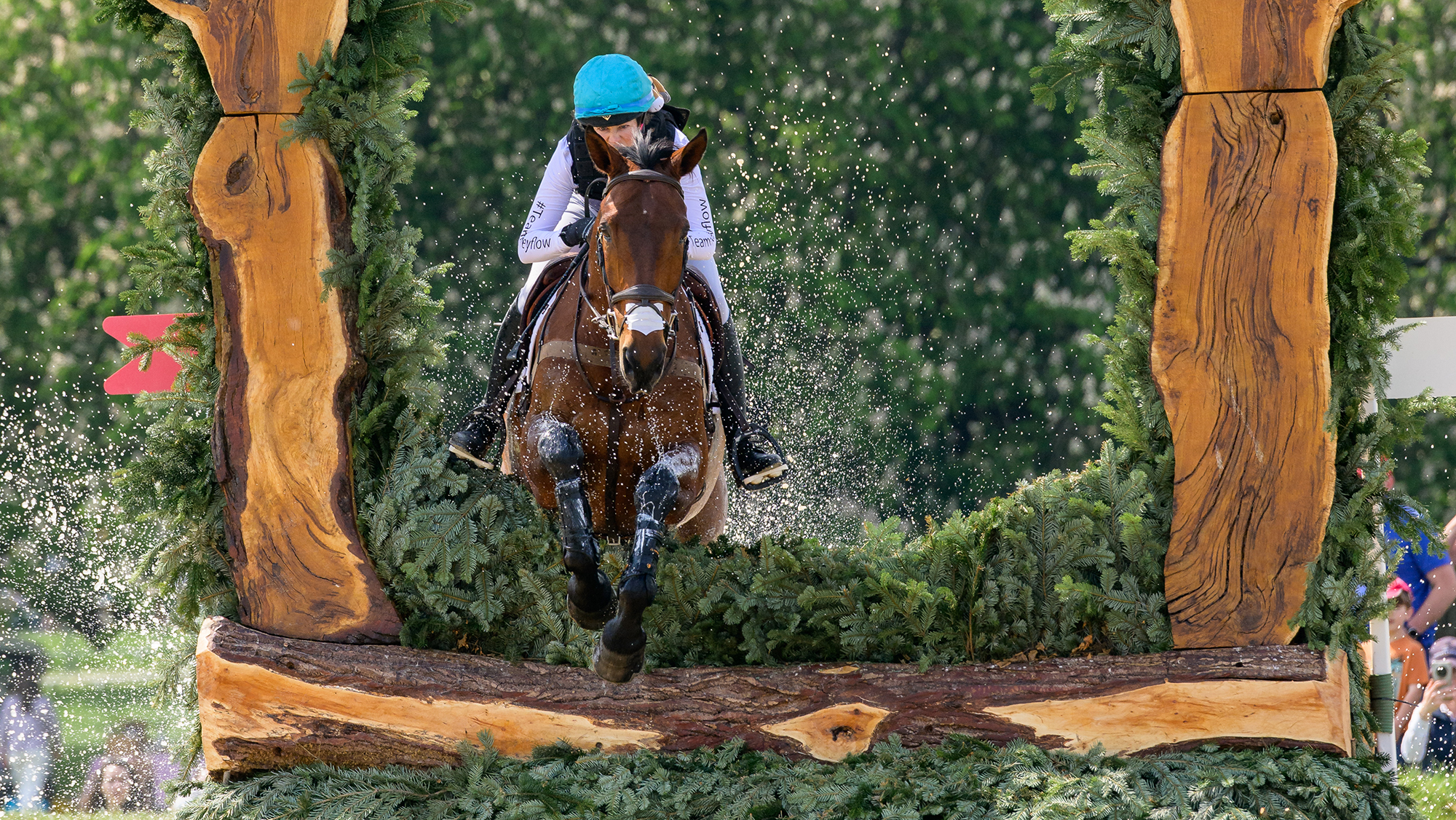 A bay horse, Centennial, jumping over a brush fence with wooden sides, ridden by Tayla Mason, a rider with a turquoise hat cover