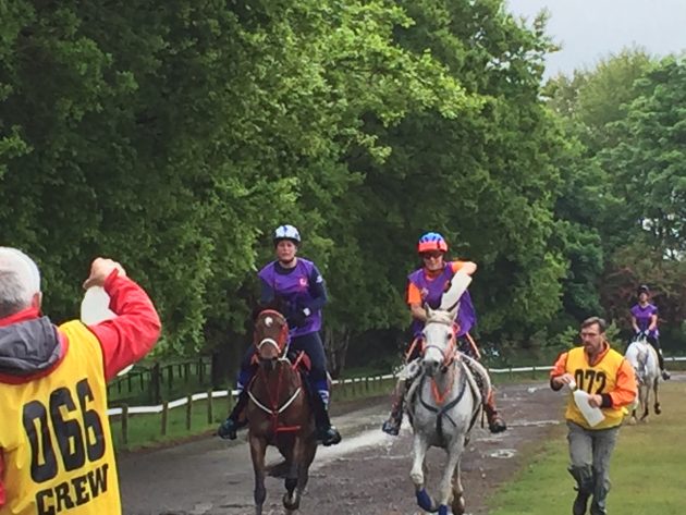 sloshing-at-Ascot-e1495447072747.jpg