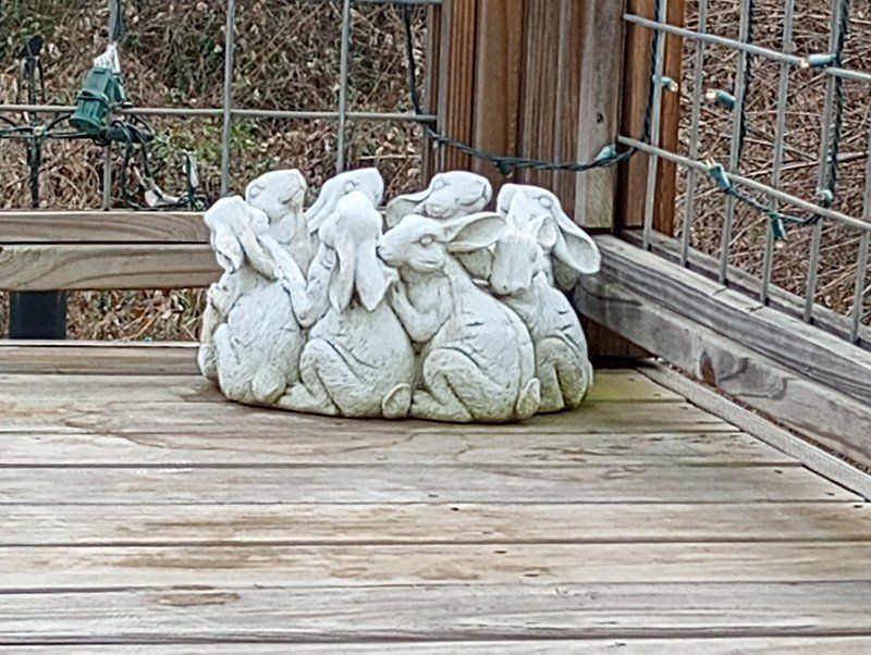 Moto G Power 2022 Camera Sample 02 Zoomed