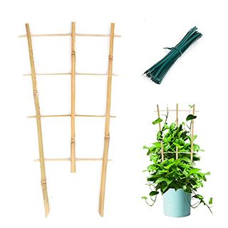 Cambaverd 3 Pack Min Bamboo Trellis 16 in Fan -Shaped Plant Support Trellis With Twist Ties for Indoor Mini Climbing Plants Hoya Potted Plants House Plants Vine Ivy