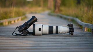 Sony RX10 V bridge camera alongside Sony 400-800mm lens attached to an A7R V on a boardwalk in a nature reserve at golden hour