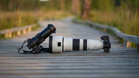 Sony RX10 V bridge camera alongside Sony 400-800mm lens attached to an A7R V on a boardwalk in a nature reserve at golden hour