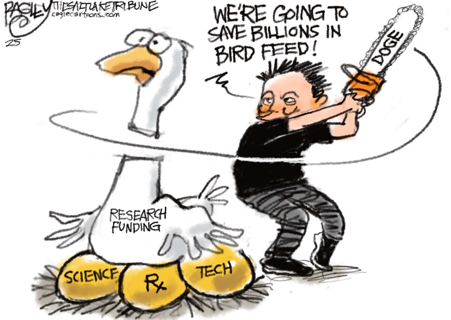 This cartoon depicts Elon Musk aggressively using a chainsaw labeled "DOGE" to cut the neck of a large goose. The goose's body is a nest containing three golden eggs labeled "SCIENCE," "Rx," and "TECH." A smaller, decapitated goose head lies nearby, looking shocked. Musk is saying, "WE'RE GOING TO SAVE BILLIONS IN BIRD FEED!"