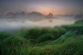 European Wildlife Photographer of the Year 2021