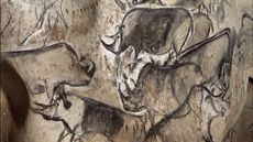 Rhino drawings from the Chauvet Cave.