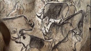 Rhino drawings from the Chauvet Cave.