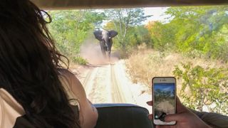 An elephant chasing down our truck during a photo safari