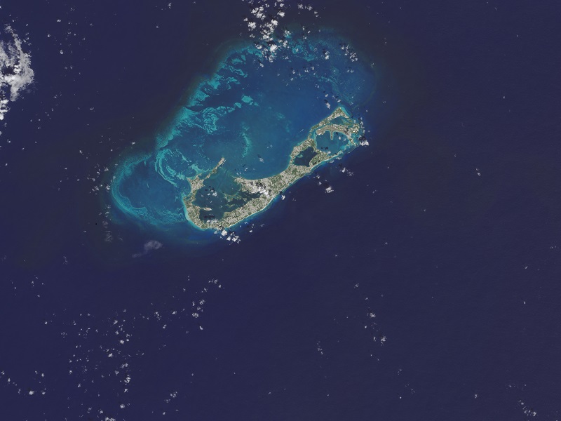 All the calcium carbonate before Hurricane Gonzalo was settled.