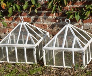Warming the soil with two glass cloches